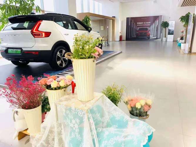 白辛,公司经营范围包括:零售汽车,汽车零配件,汽车装饰用品